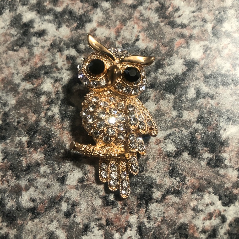 Owl brooch / pendant